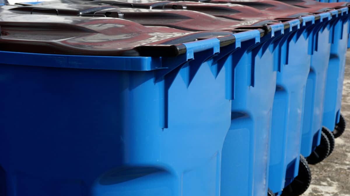 Gestion optimisée des déchets : pourquoi faire appel à un professionnel est indispensable ?