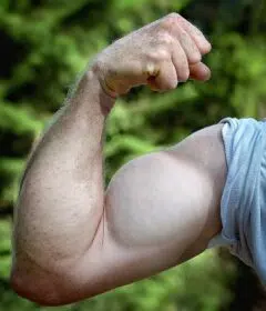 Brutal Force