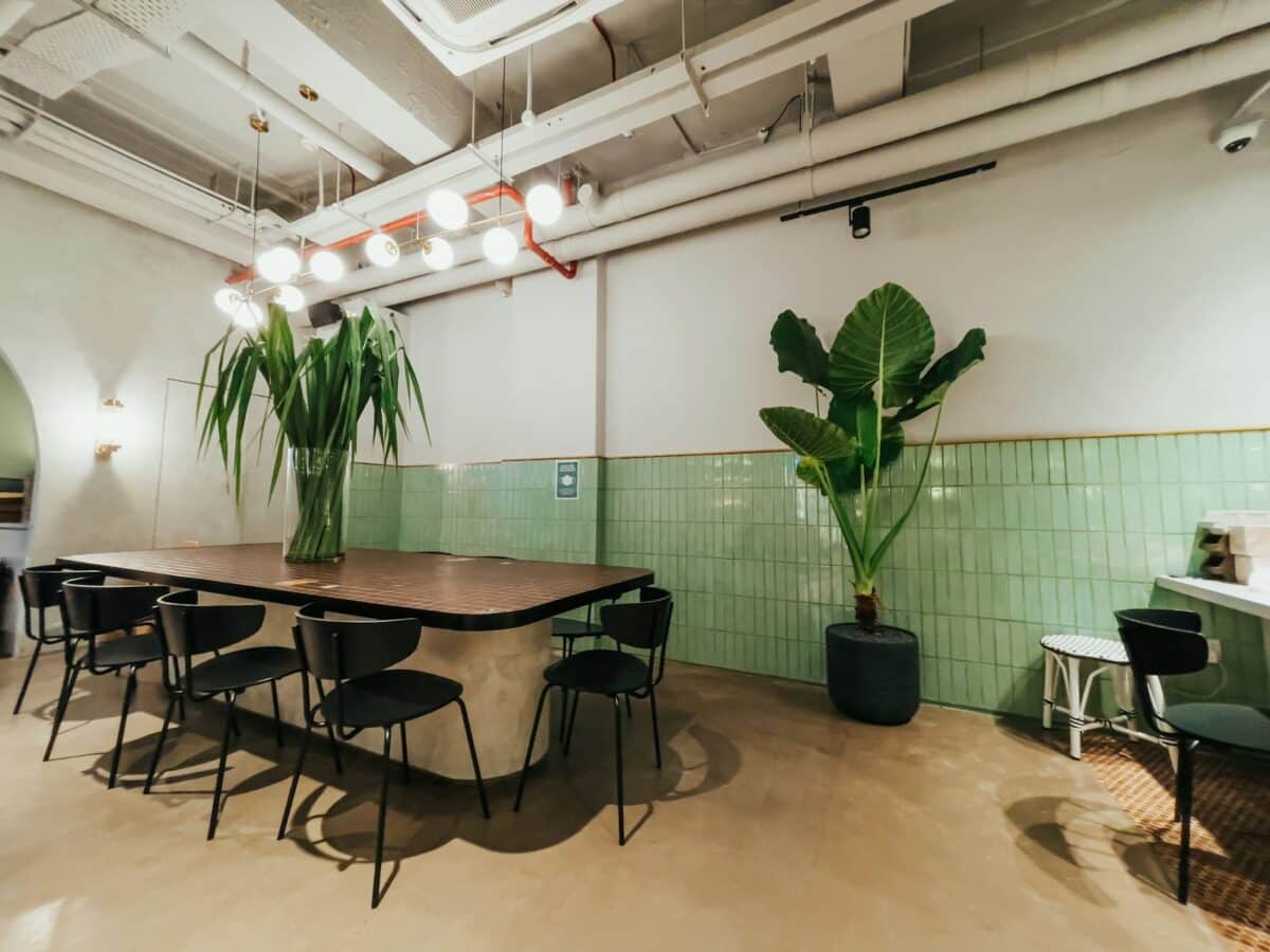 green indoor plant beside brown wooden table